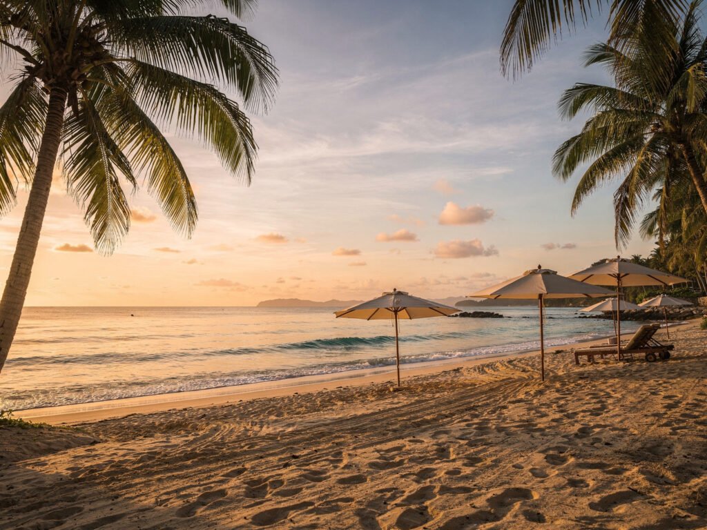 Palm-fringed tropical beach (illustrative)