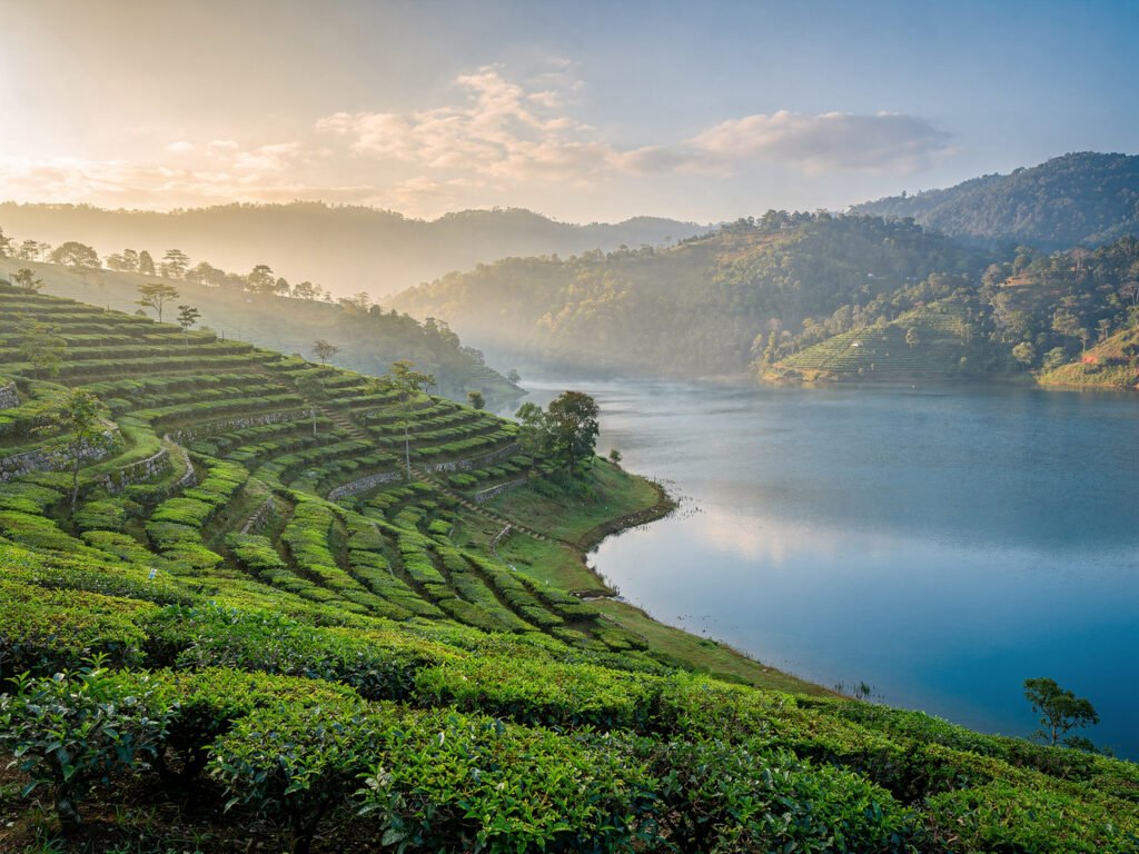 Hill station with tea gardens and a lake (illustrative)